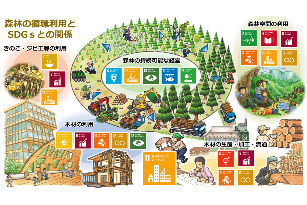 森林業活用循環図(SDGs)1170ｘ780